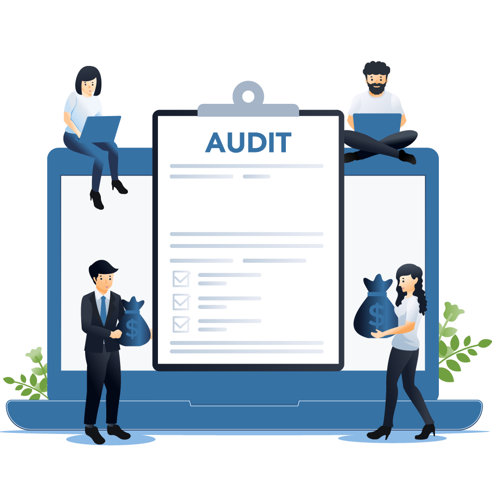 audit